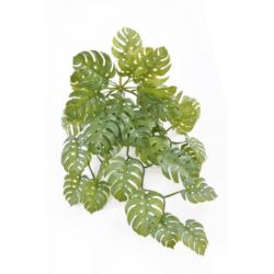 MONSTERA ZWISAJĄCA JUN122 65CM GREEN