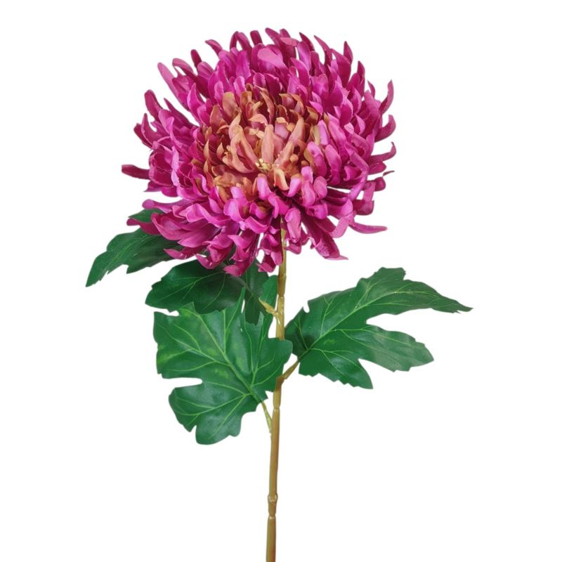 CHRYZANTEMA PŁASKA NA ŁODYDZE 65CM GREEN PURPLE