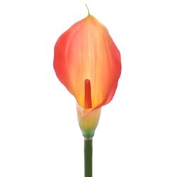 CALLA GUMA 72 CM ANA1013 LEMON TEA