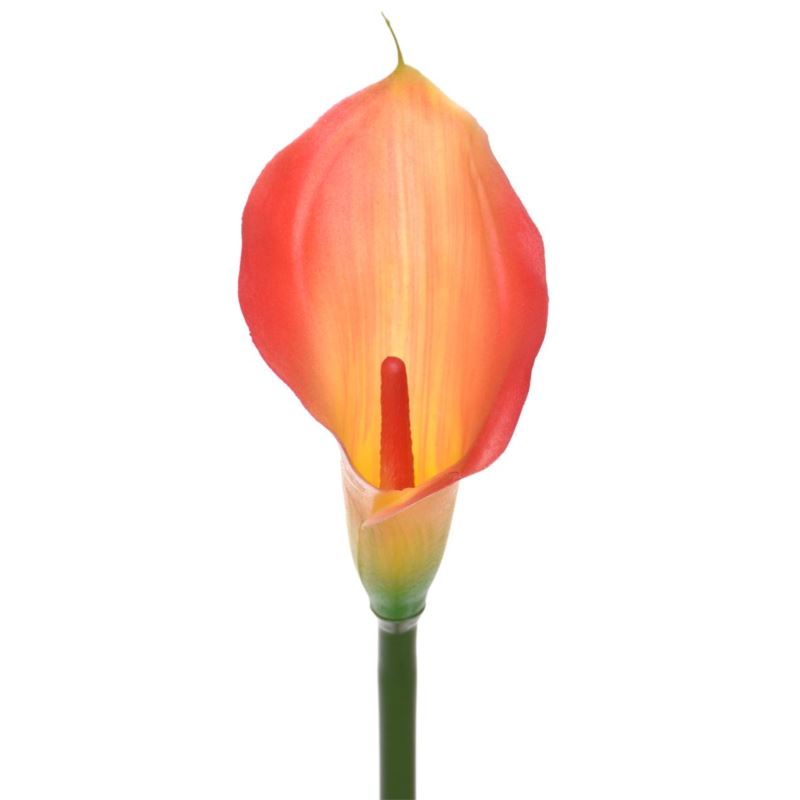 CALLA GUMA 72 CM ANA1013 LEMON TEA