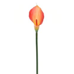 CALLA GUMA 72 CM ANA1013 LEMON TEA
