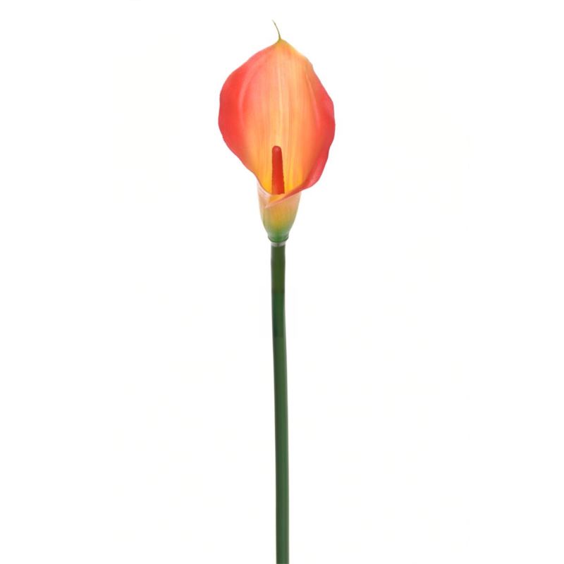 CALLA GUMA 72 CM ANA1013 LEMON TEA