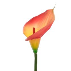 CALLA GUMA 72 CM ANA1013 LEMON TEA