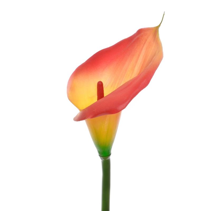 CALLA GUMA 72 CM ANA1013 LEMON TEA