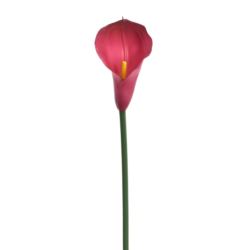 CALLA GUMA 72 CM ANA1013 BEAUTY