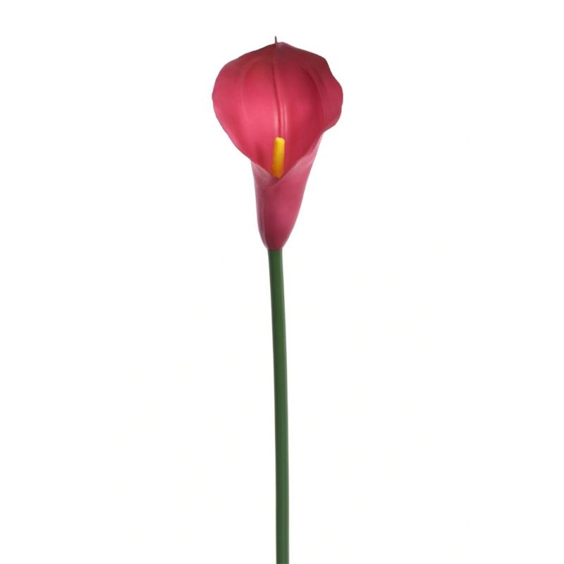 CALLA GUMA 72 CM ANA1013 BEAUTY