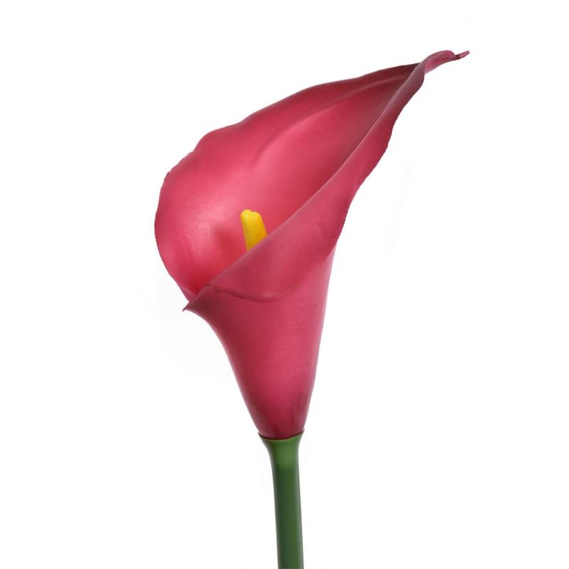 CALLA GUMA 72 CM ANA1013 BEAUTY