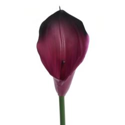 CALLA GUMA 72 CM ANA1013 BEAUTY BLACK