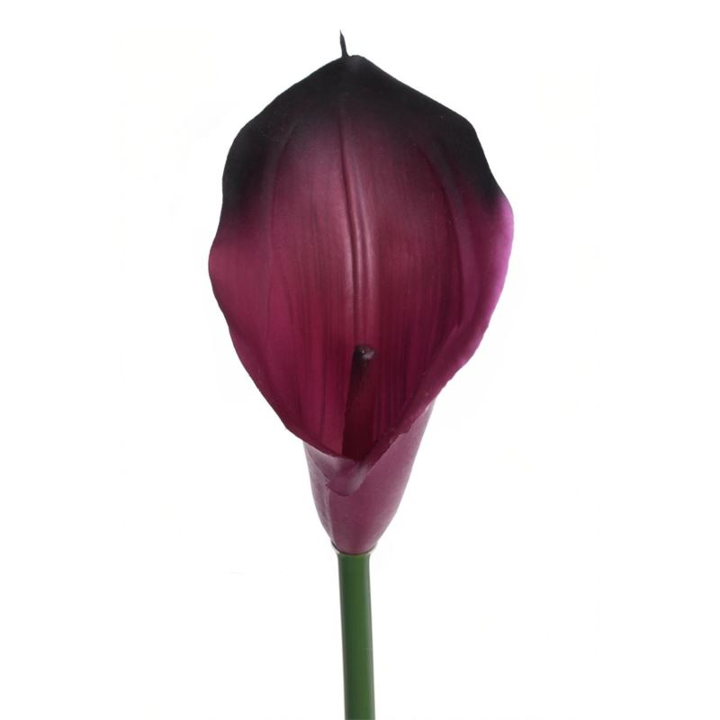 CALLA GUMA 72 CM ANA1013 BEAUTY BLACK