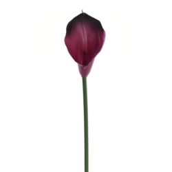 CALLA GUMA 72 CM ANA1013 BEAUTY BLACK