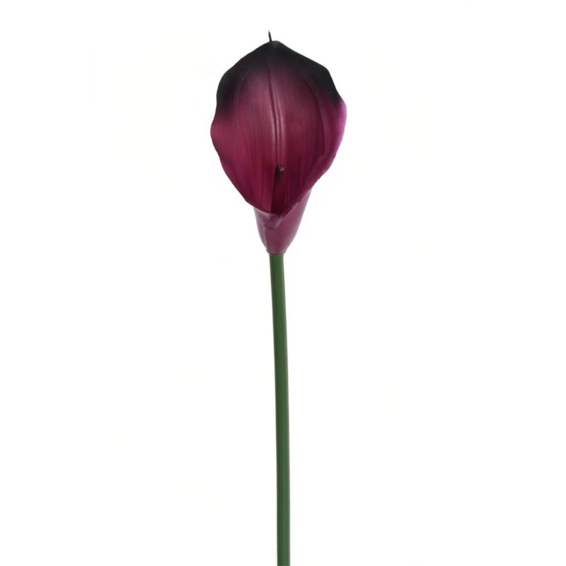 CALLA GUMA 72 CM ANA1013 BEAUTY BLACK