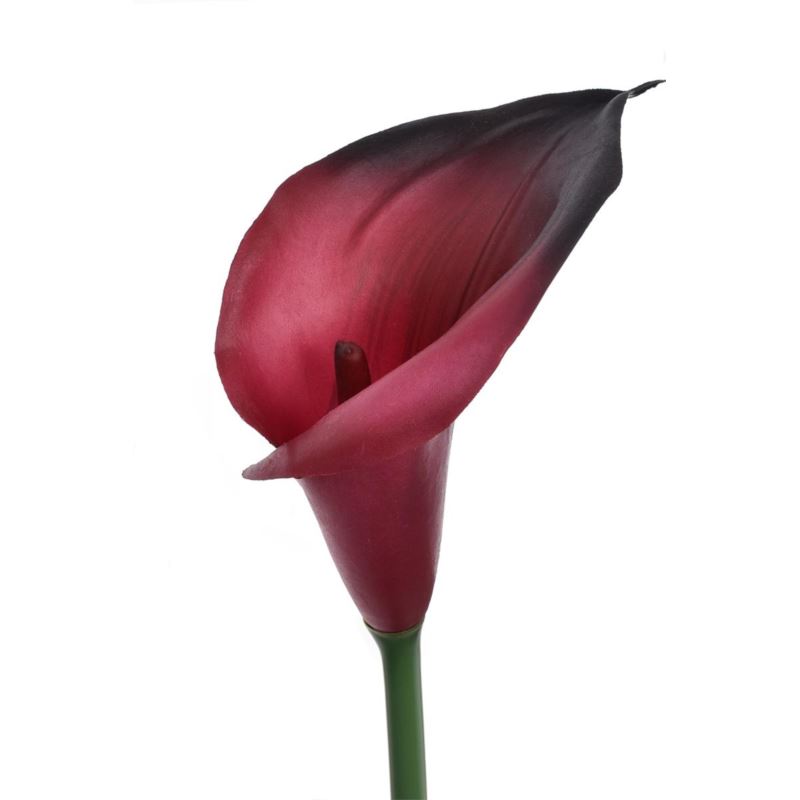 CALLA GUMA 72 CM ANA1013 BEAUTY BLACK