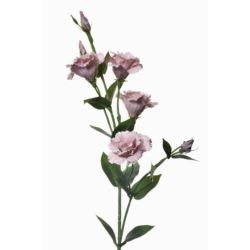 EUSTOMA GAŁĄZKA 83CM SUN345 DELICATE BROWN