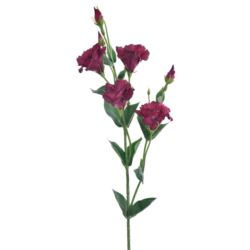 EUSTOMA GAŁĄZKA 83CM SUN345 DEEP BURGUNDY