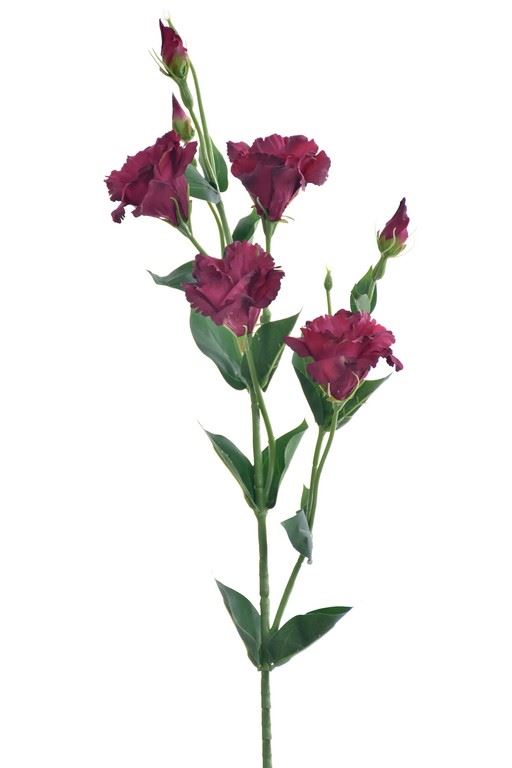 EUSTOMA GAŁĄZKA 83CM SUN345 DEEP BURGUNDY