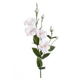 EUSTOMA GAŁĄZKA 83CM SUN345 PEARL