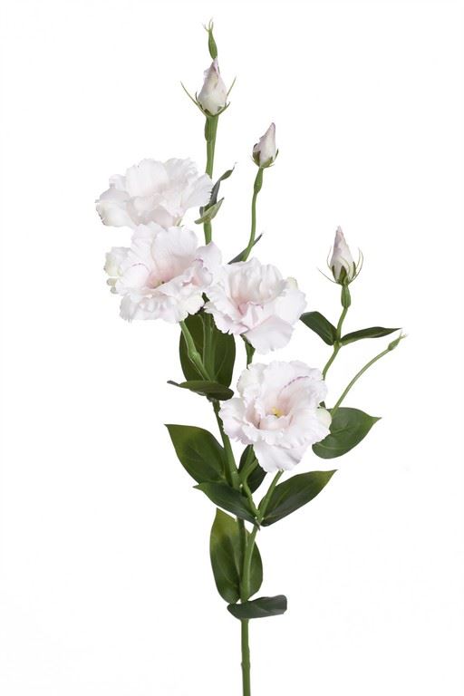 EUSTOMA GAŁĄZKA 83CM SUN345 PEARL