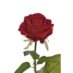 RÓŻA WELVET POJEDYNCZA 63CM RUBIN