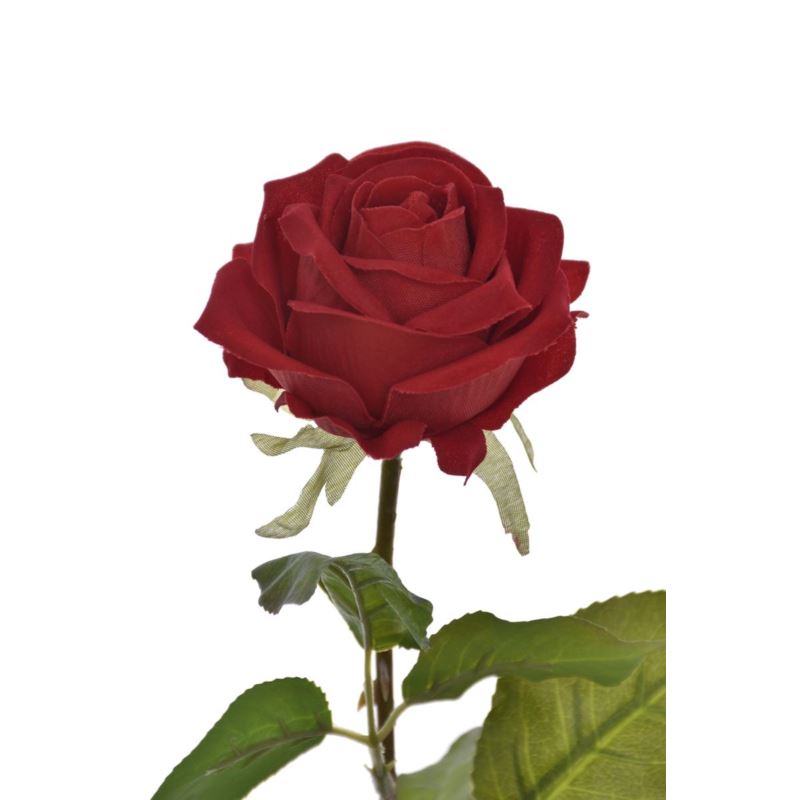 RÓŻA WELVET POJEDYNCZA 63CM RUBIN
