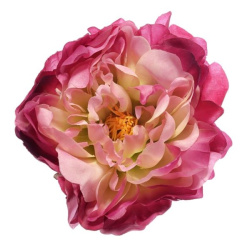 PEONIA WYROBOWA 15CM SUN406 DR.PINK/GREEN