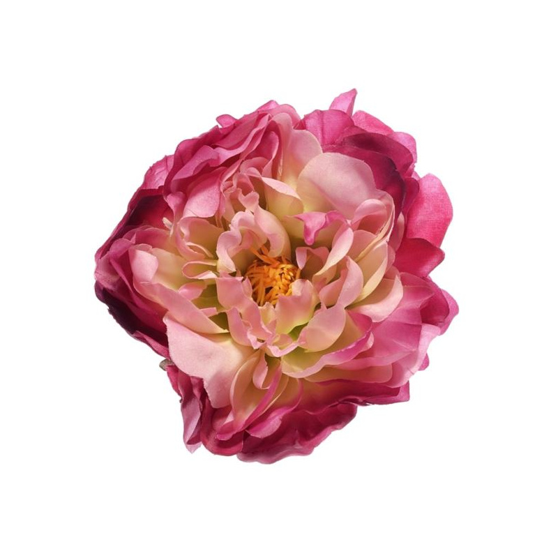 PEONIA WYROBOWA 15CM SUN406 DR.PINK/GREEN