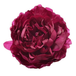 PEONIA WYROBOWA 15CM SUN406 DR. BEAUTY GREEN