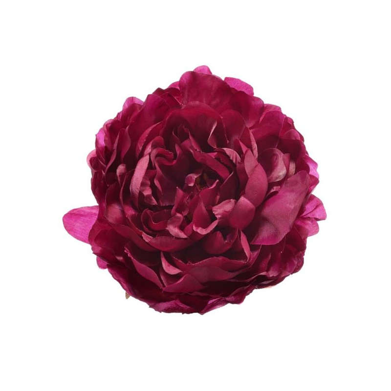 PEONIA WYROBOWA 15CM SUN406 DR. BEAUTY GREEN